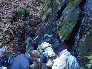玄武岩質粗粒凝灰岩を観察する